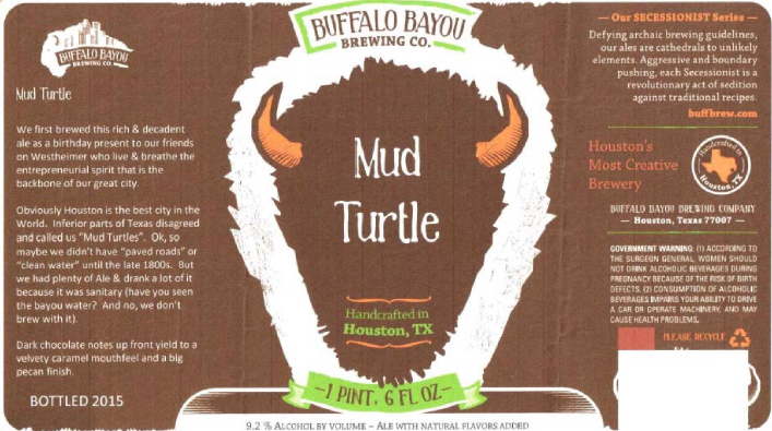 Buffallo Bayou Mud Turtle