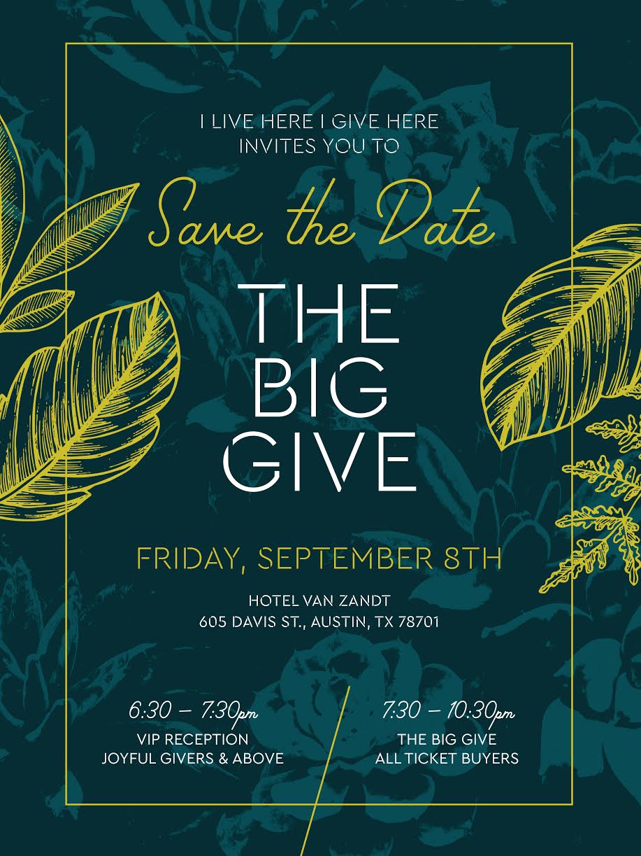 The Big Give 2017